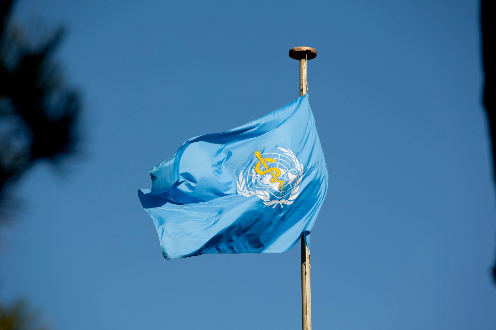 World Health Organization Flag